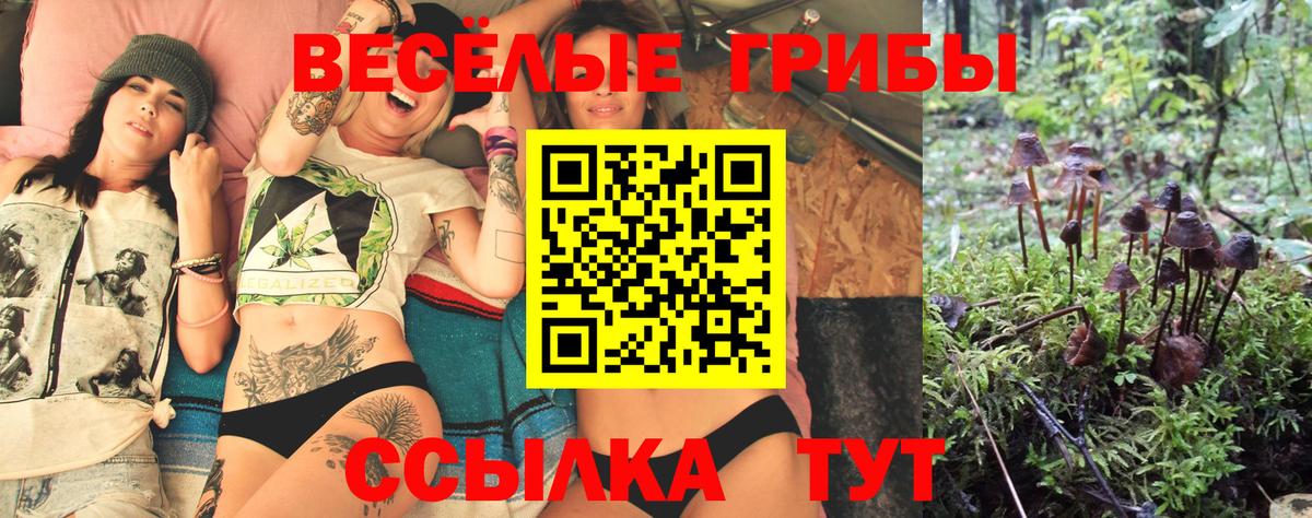 Петропавловск-Камчатский  Псилоцибиновые грибы мицелий  Вход с VPN 